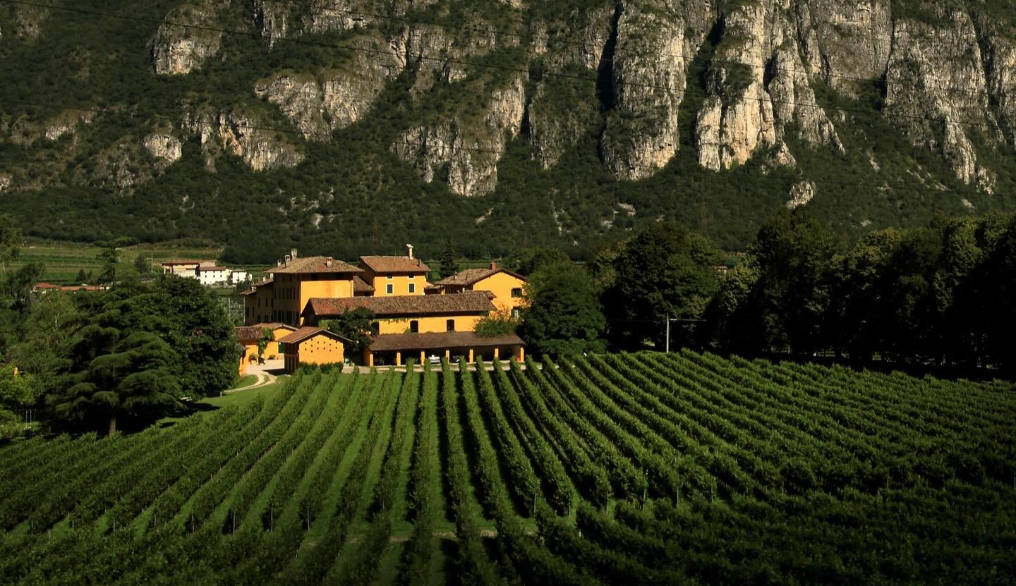 Tenuta San Leonardo