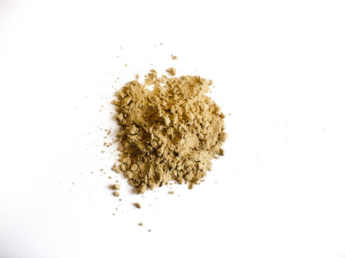 Zenzero in Polvere
