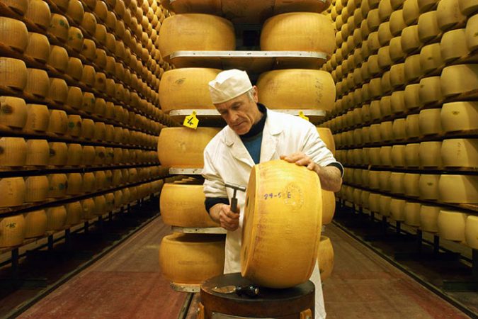 Forma di Parmigiano Reggiano DOP con crosta marchiata e scaglie