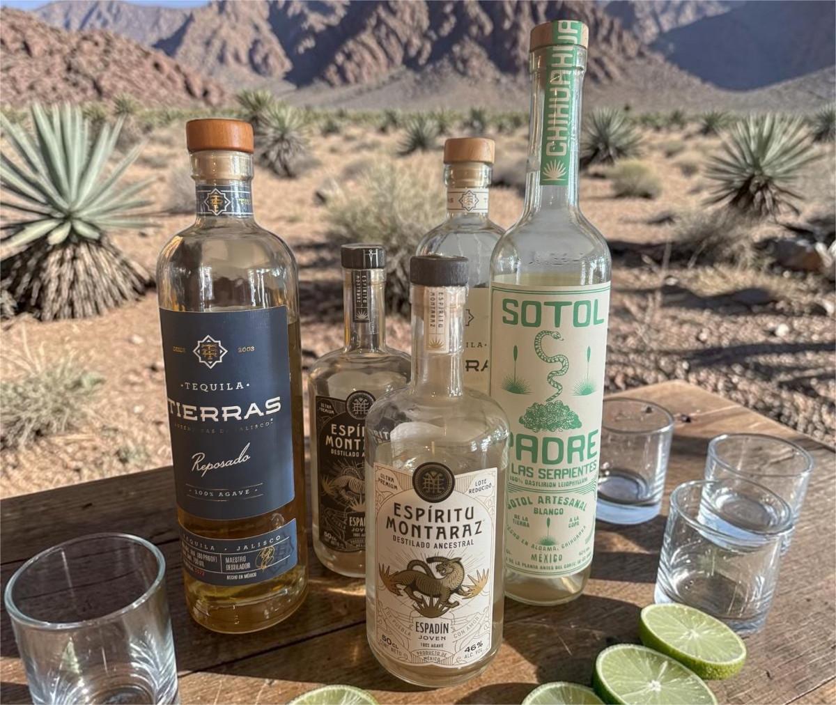Bottiglie di tequila, mezcal e sotol in un deserto del Messico