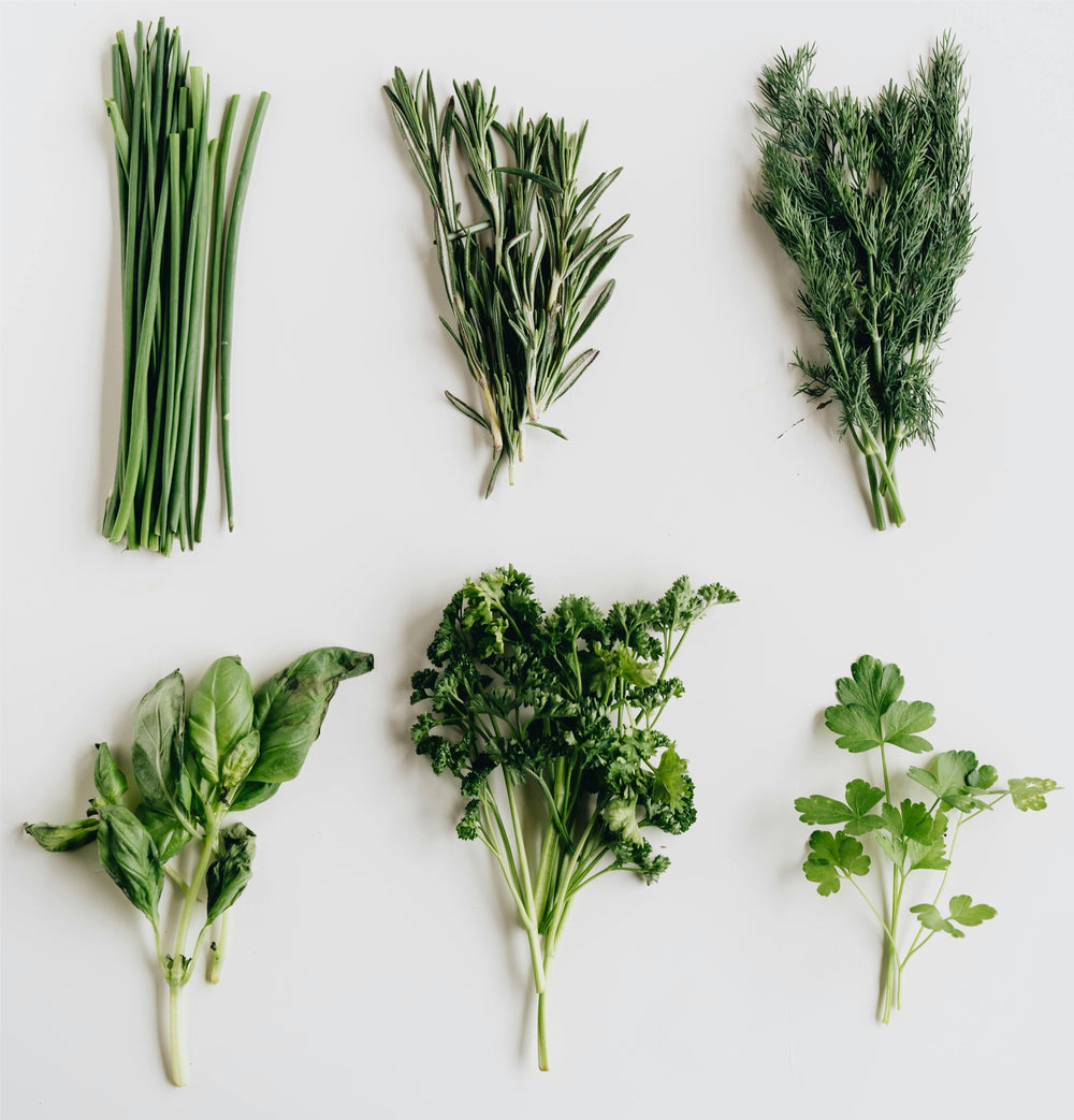 Mazzo di erbe aromatiche fresche mediterranee: rosmarino, timo, salvia e basilico