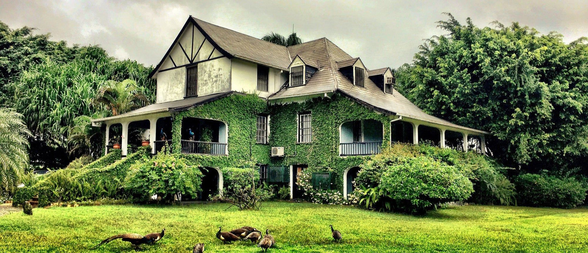 Great House della distilleria di rum Hampden in Giamaica
