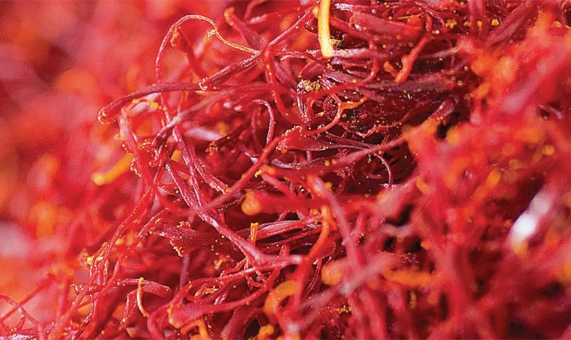 Pistilli di zafferano rosso intenso di qualità