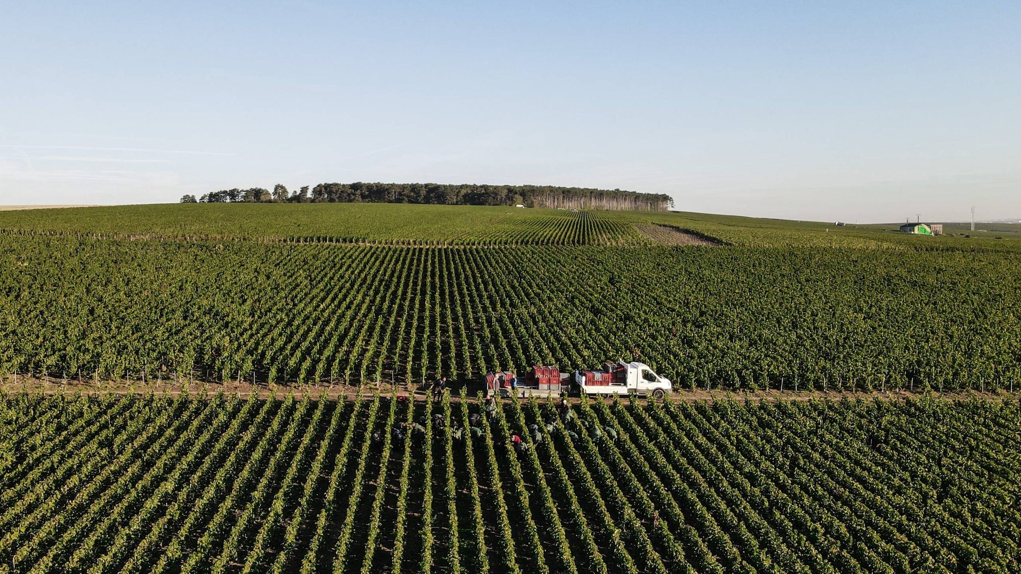 Domaine Les Monts Fournois