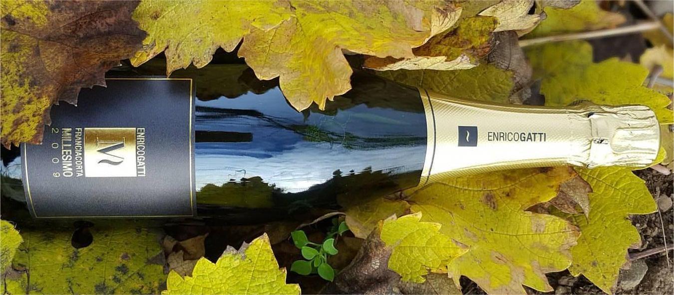Franciacorta Enrico Gatti da Erbusco