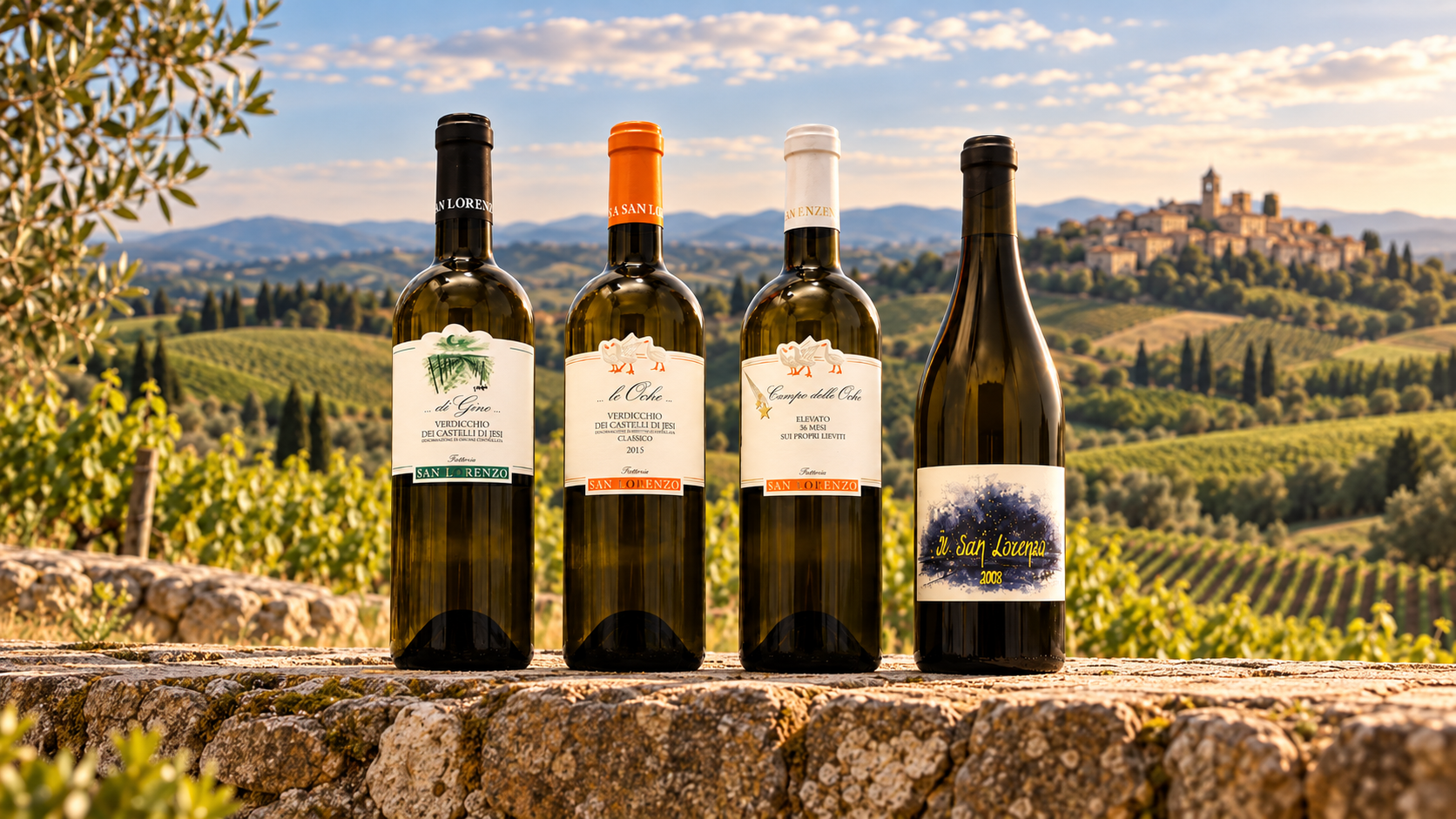 Quattro vini di Fattoria San Lorenzo, tra cui i Verdicchio dei Castelli di Jesi, sullo sfondo delle colline vitate marchigiane.