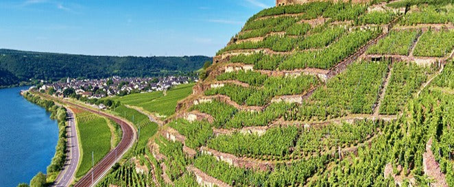 Riesling Heymann-Löwenstein | Vini di Terroir dalla Mosella – Drogheria Pedrelli