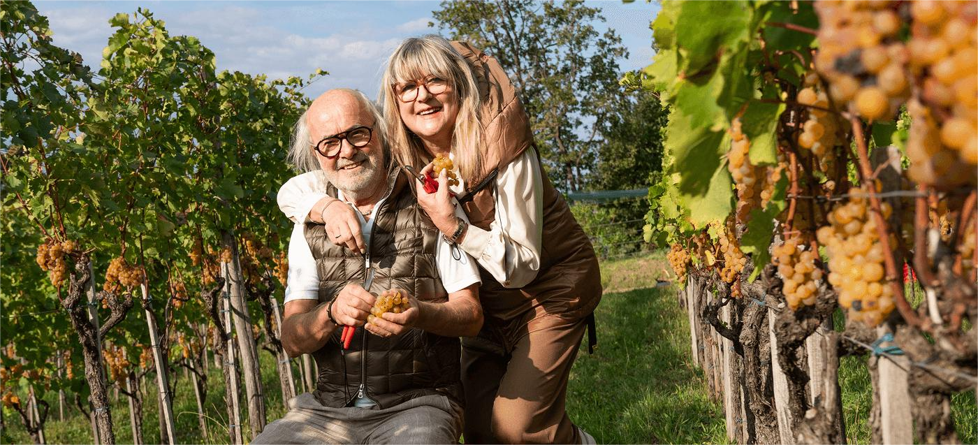 I coniugi Svetlik nel loro vigneto di Ribolla Gialla nella Valle del Vipacco, terroir vocato della Slovenia