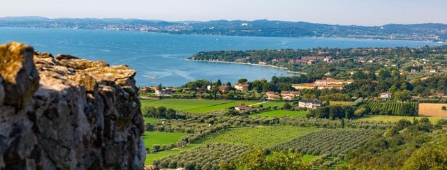 Olio Extravergine Olearia Caldera – oliveti sul Garda Bresciano