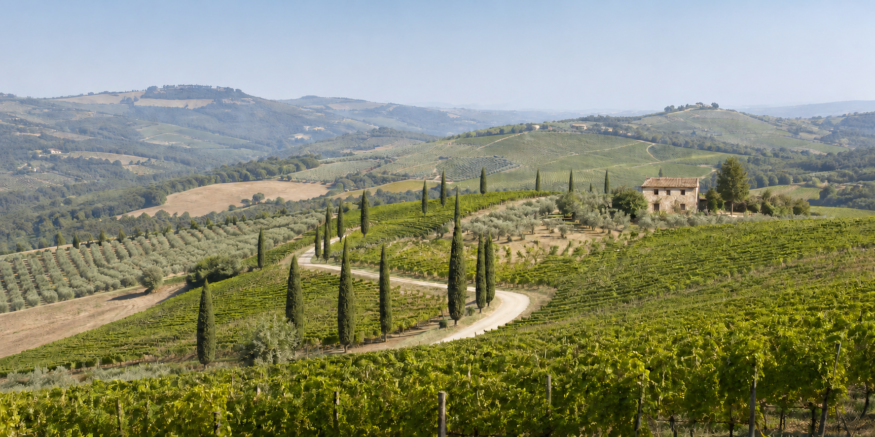 Colline della Toscana da cui provengono vini rossi a base di Sangiovese