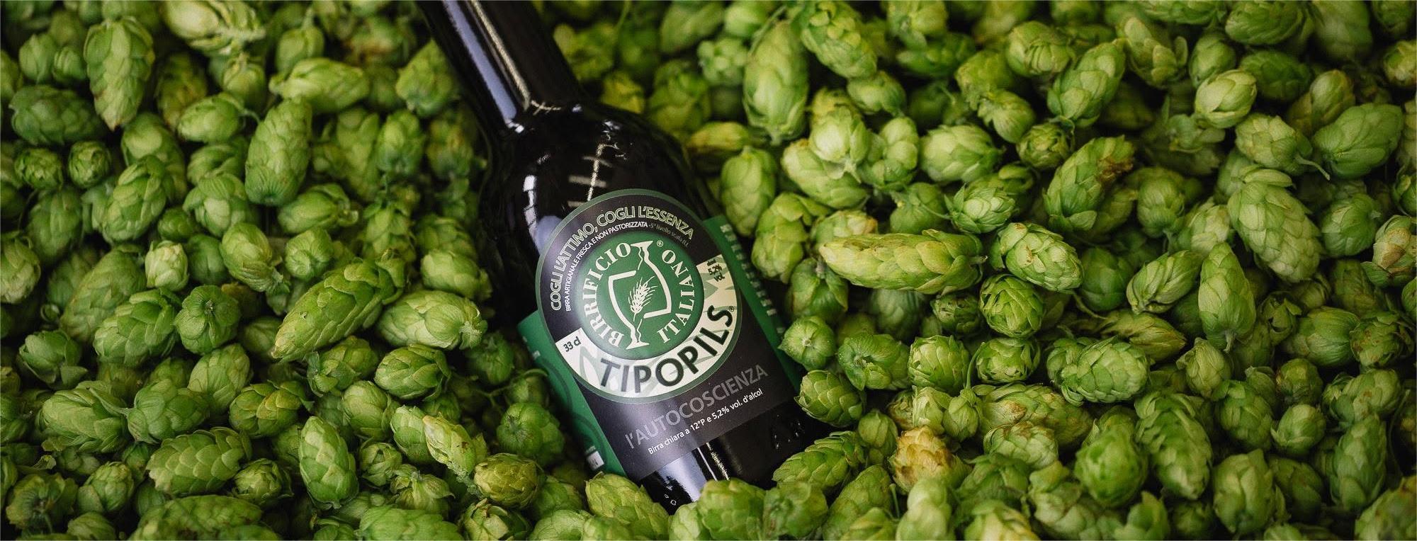 Luppoli del birrificio Italiano