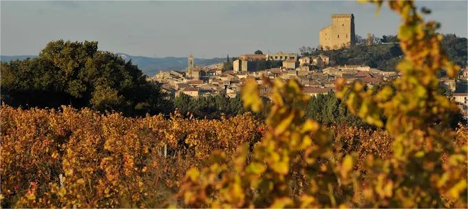 Vigneti di Clos du Mont Olivet storica cantina francese
