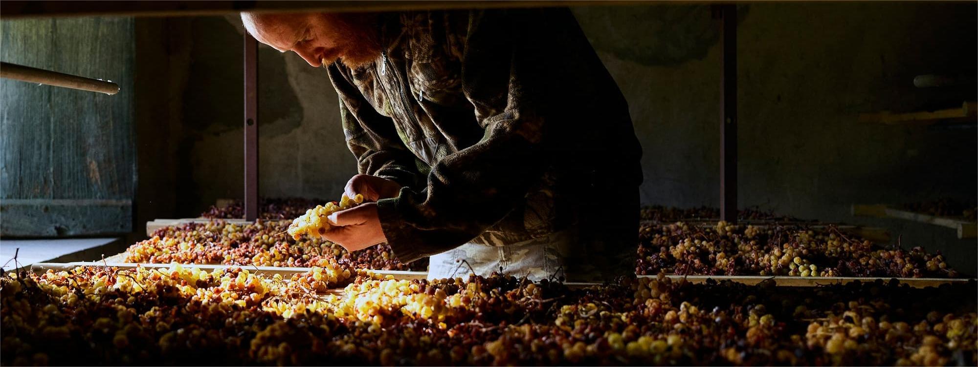 Fruttaio dove matura l'uva del vinsanto di Conte Otto Barattieri di San Pietro