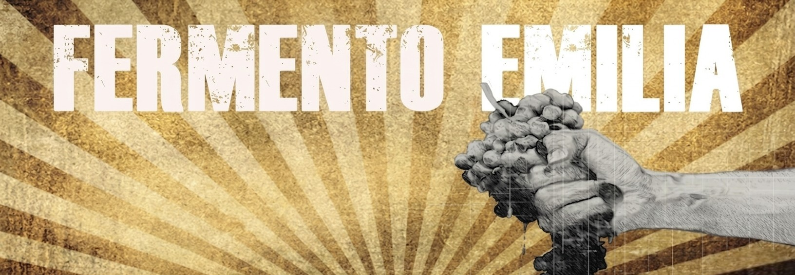Vini Naturali Emiliani – Fermento Emilia | Drogheria Pedrelli