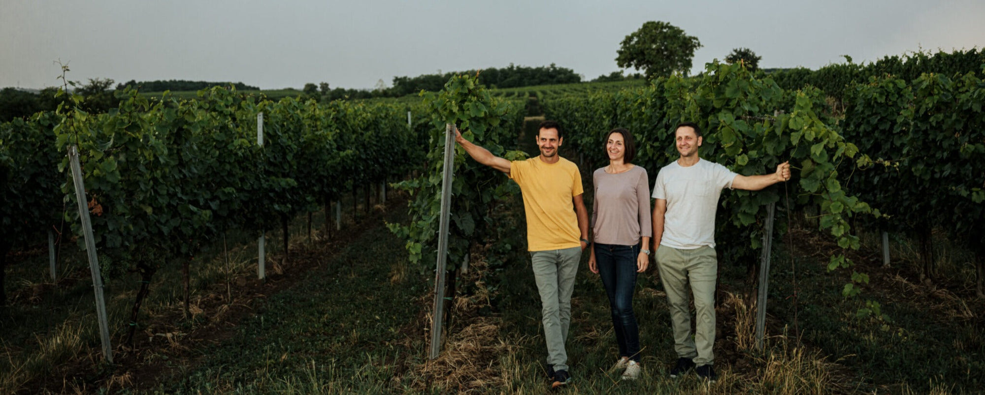 Vini Gruber Roschitz | Biologici Austriaci 3ª Generazione 