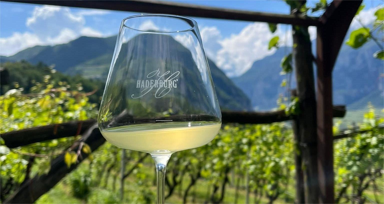 Haderburg: Vini Alto Adige vigneto Hausmannhof