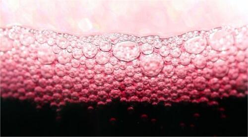 Lambrusco: vini frizzanti, rifermentati e Metodo Classico dall'Emilia