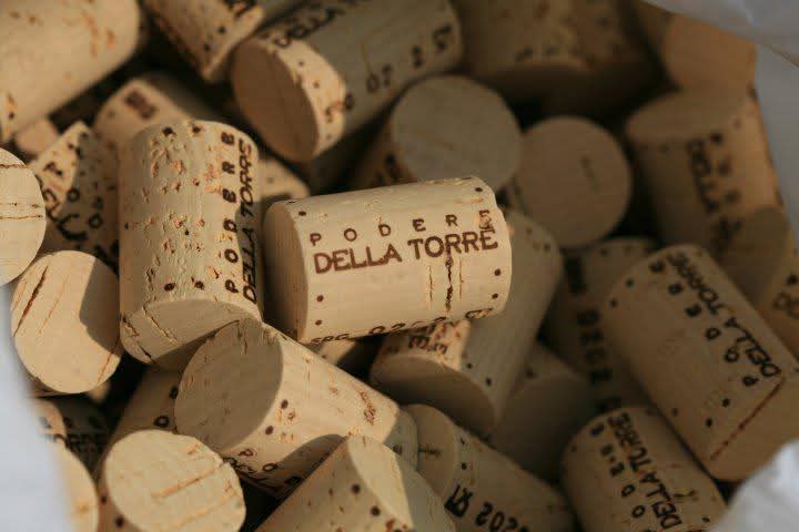 Podere della Torre vignaiolo indipendente Umbria