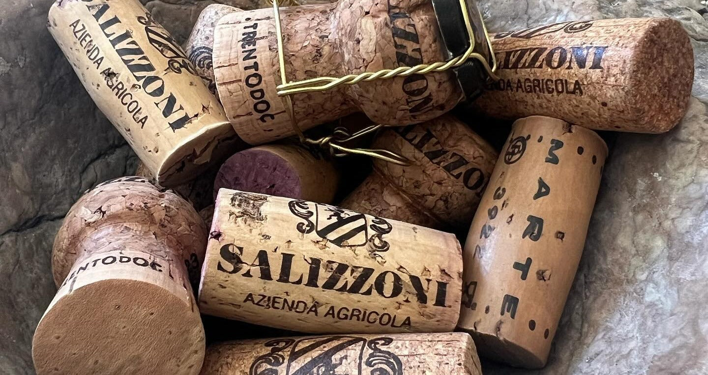 Salizzoni