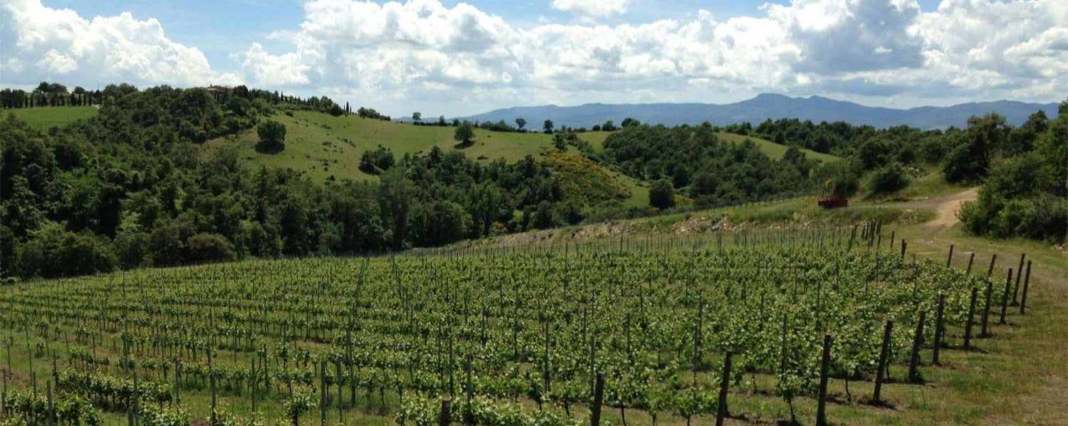 Tenuta di Trinoro Vino Toscana