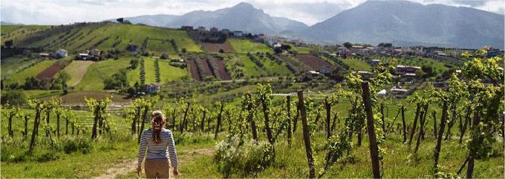 Emidio Pepe – Vini Biologici d'Abruzzo 