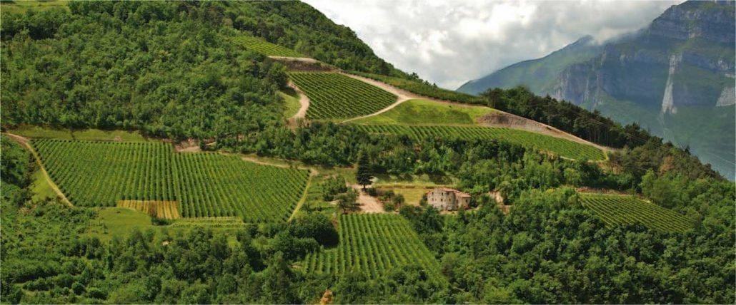 Tenuta Maso Corno in Trentino, vigneti d'altura.