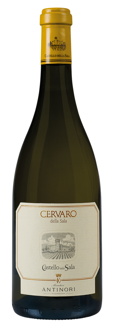 Cervaro della Sala Marchesi Antinori, vino bianco Umbria IGT elegante 