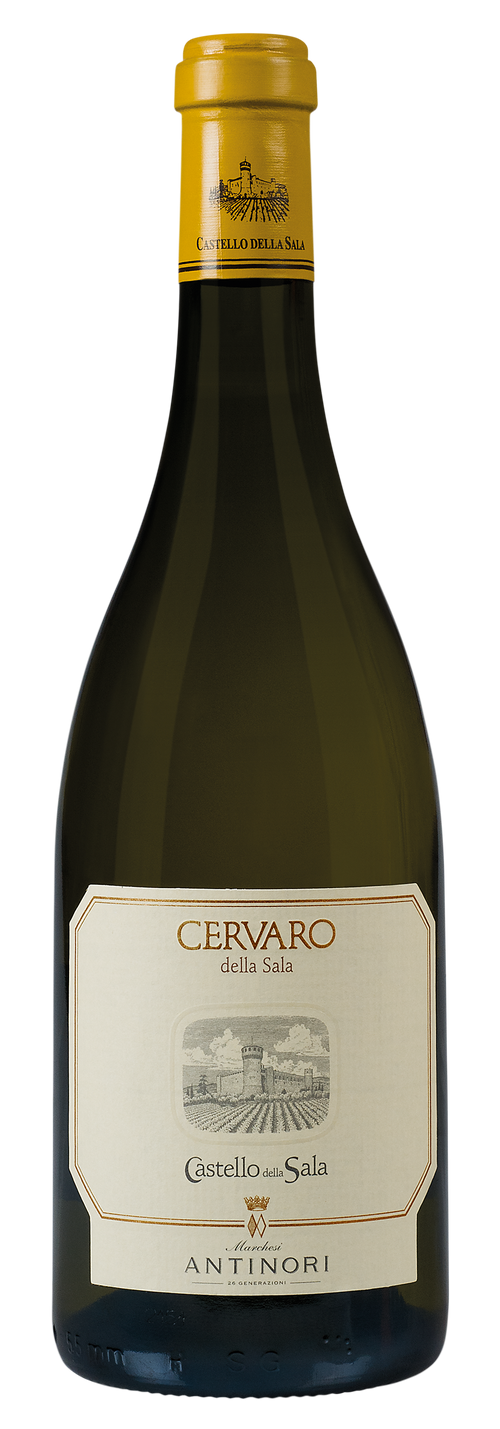 Cervaro della Sala Marchesi Antinori, vino bianco Umbria IGT elegante 
