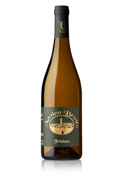 Friulano 2024 Antico Broilo