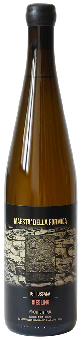 Riesling 2022