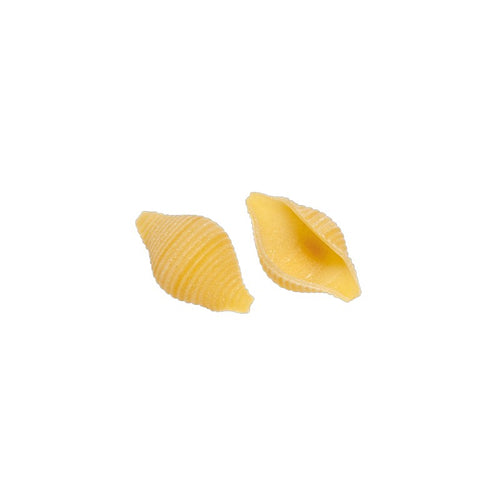 Dettaglio della Conchiglia Cocco, pasta artigianale di semola di grano duro trafilata al bronzo
