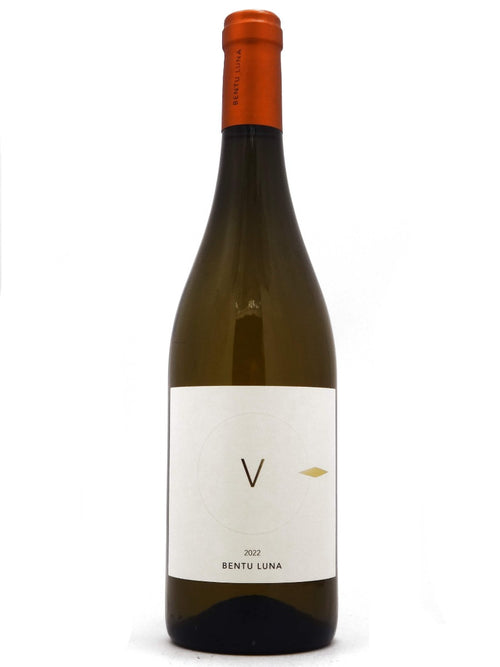 Vernaccia