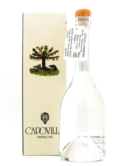Distillato di Albicocche
