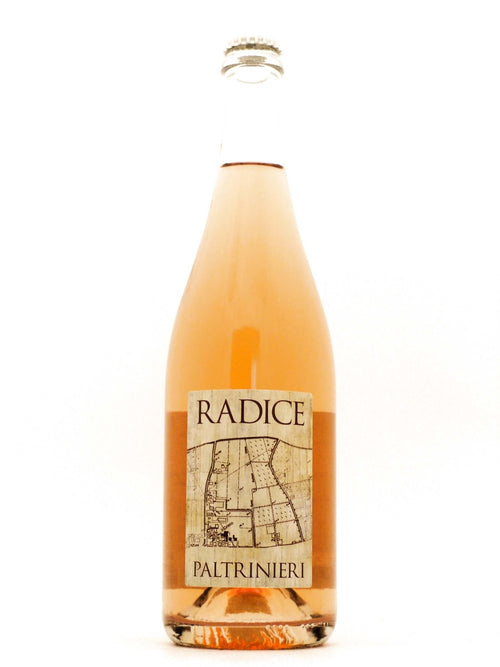 Radice Lambrusco di Sorbara 2024