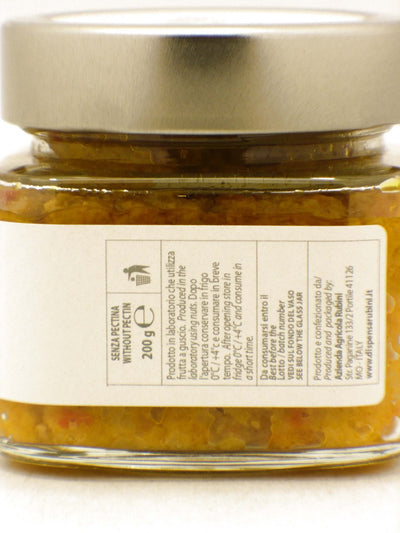 Salsa di Verdure dell'Orto