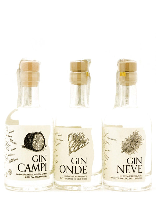 Degustazione di Gin